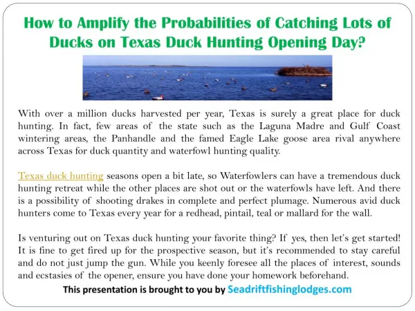 How to Amplify the Probabilities of Catching Lots of Ducks on Texas Duck Hunting Opening Day?