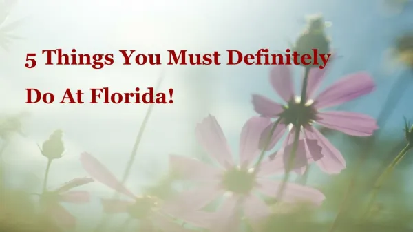 5 Things You Must Definitely Do At Florida | Florida Resorts Holidays