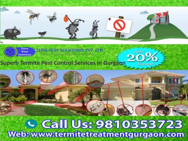 Superb Termite Pest Control Services in Gurgaon 9810353723