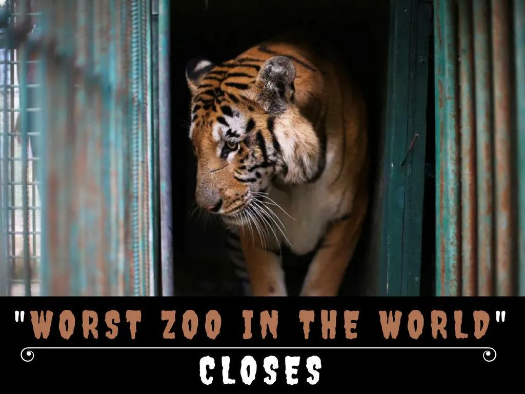 most noticeably bad zoo on the planet closes