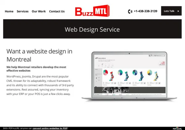 Want a website design in Montreal?