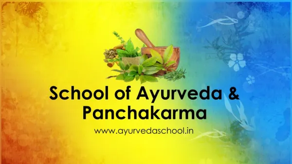 Best Ayurveda Schools in Kerala | School of Ayurveda and Panchakarma