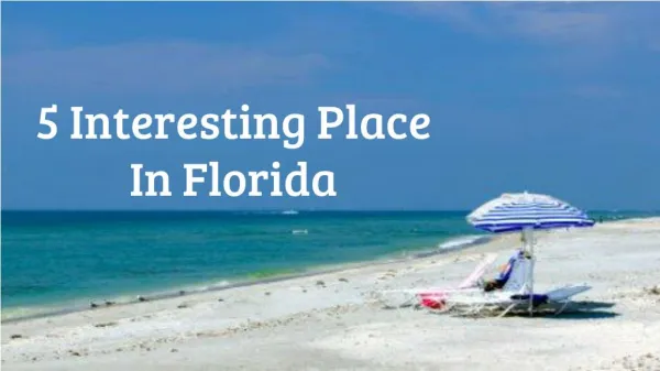5 Interesting Place In Florida | Florida resorts holidays