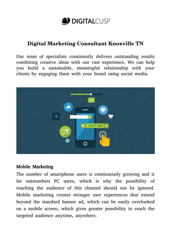 Digital Marketing Consultant Knoxville TN