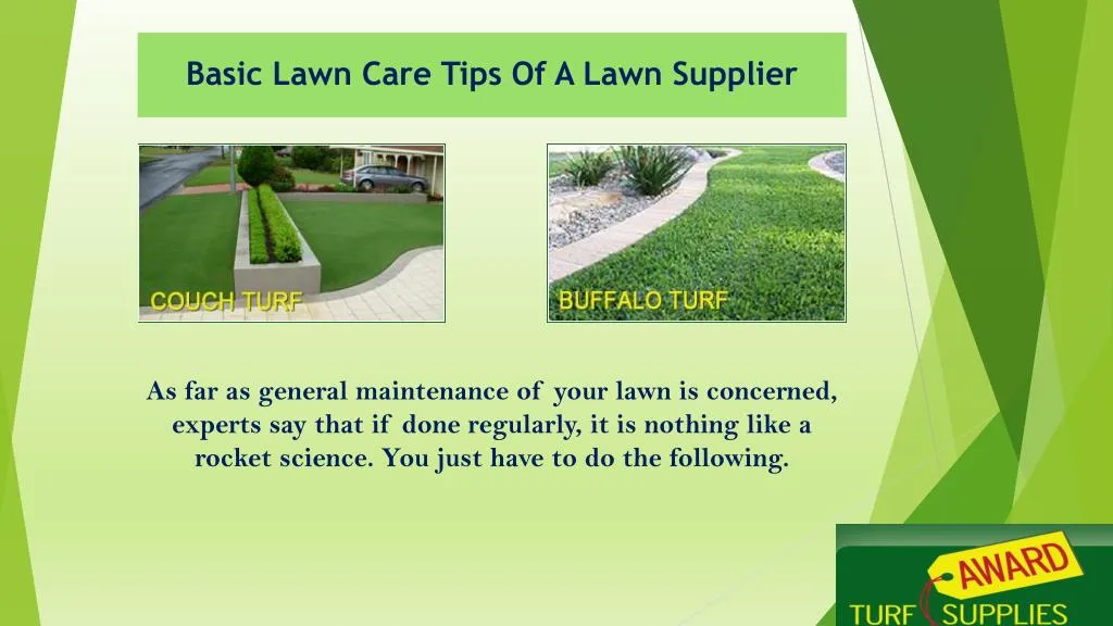 basic lawn care tips of a lawn supplier