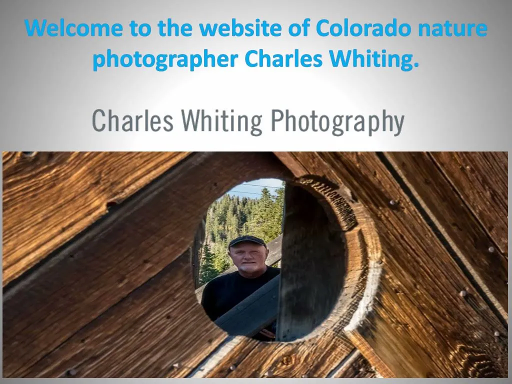 welcome to the website of colorado nature photographer charles whiting