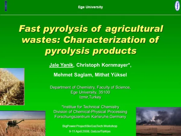 Fast pyrolysis of agricultural wastes: Characterization of pyrolysis products