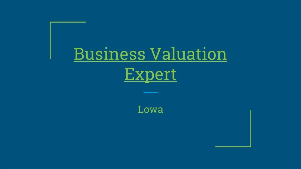 business valuation expert