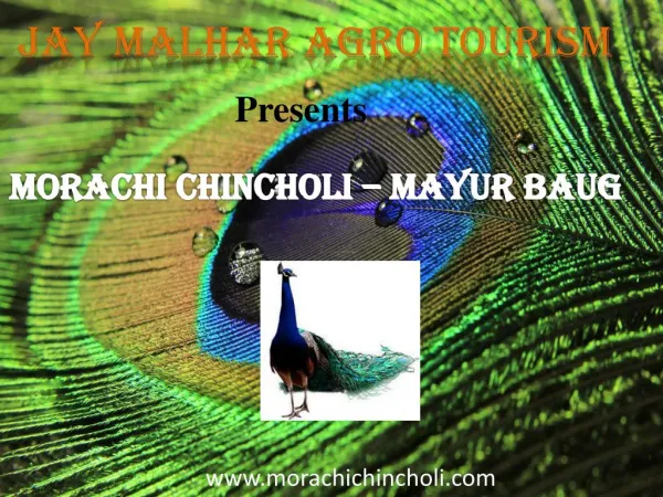 Morachi Chincholi -Mayur Baug