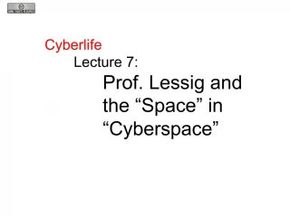 Cyberspace: Insights from Prof. Lessig - slide 1
