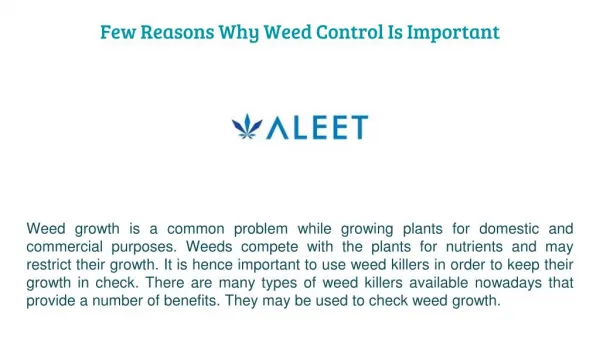 Few Reasons Why Weed Control Is Important