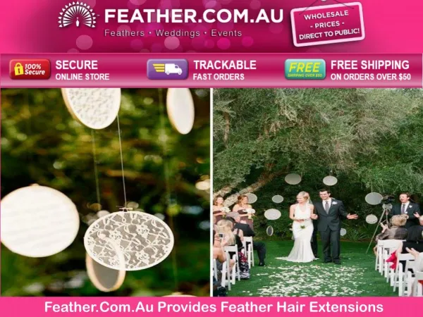 Feather.Com.Au Provides Feather Hair Extensions