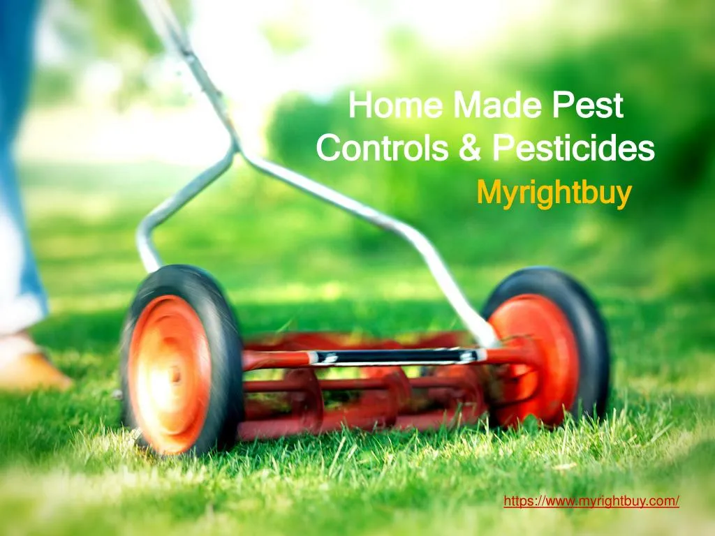 home made pest controls pesticides