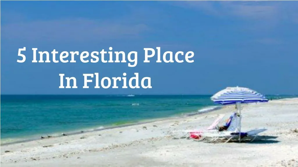 5 interesting place in florida