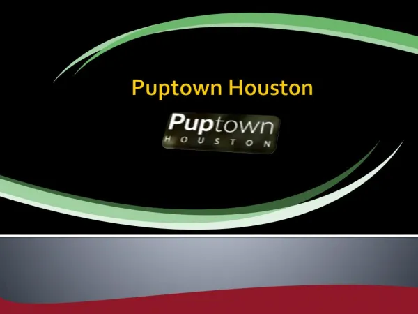 Puptown Houston