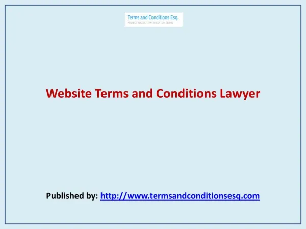 Website Terms and Conditions Lawyer