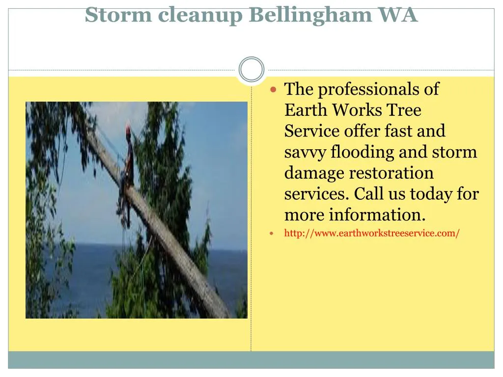 storm cleanup bellingham wa