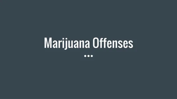 Marijuana Ofeenses