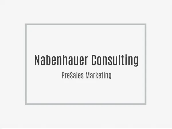 Nabenhauer Consulting