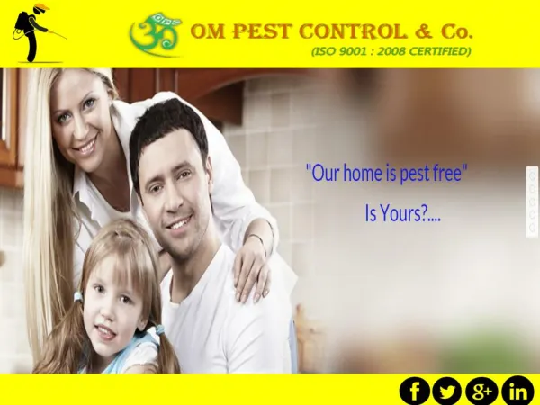 Best Pest Control Company?