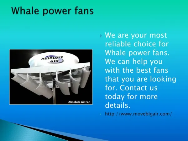 Whale power fans