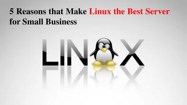 5 Reasons that Make Linux the Best Server for Small Business