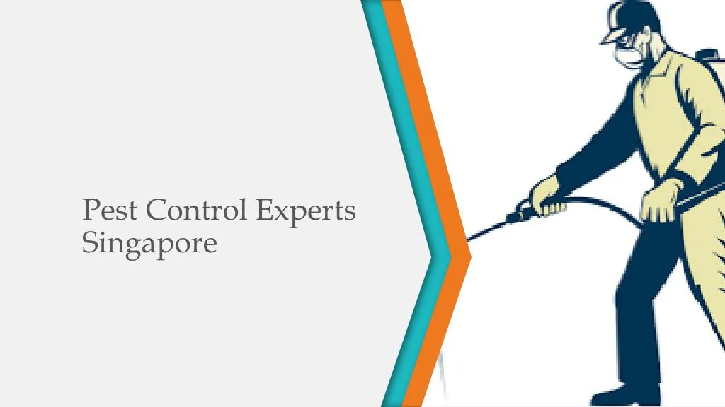 pest control experts singapore