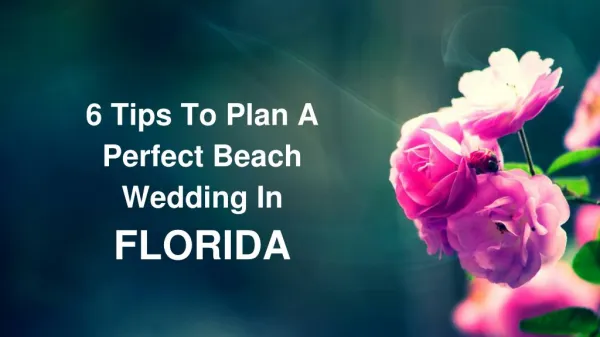 6 Tips To Plan A Perfect Beach Wedding In FLORIDA