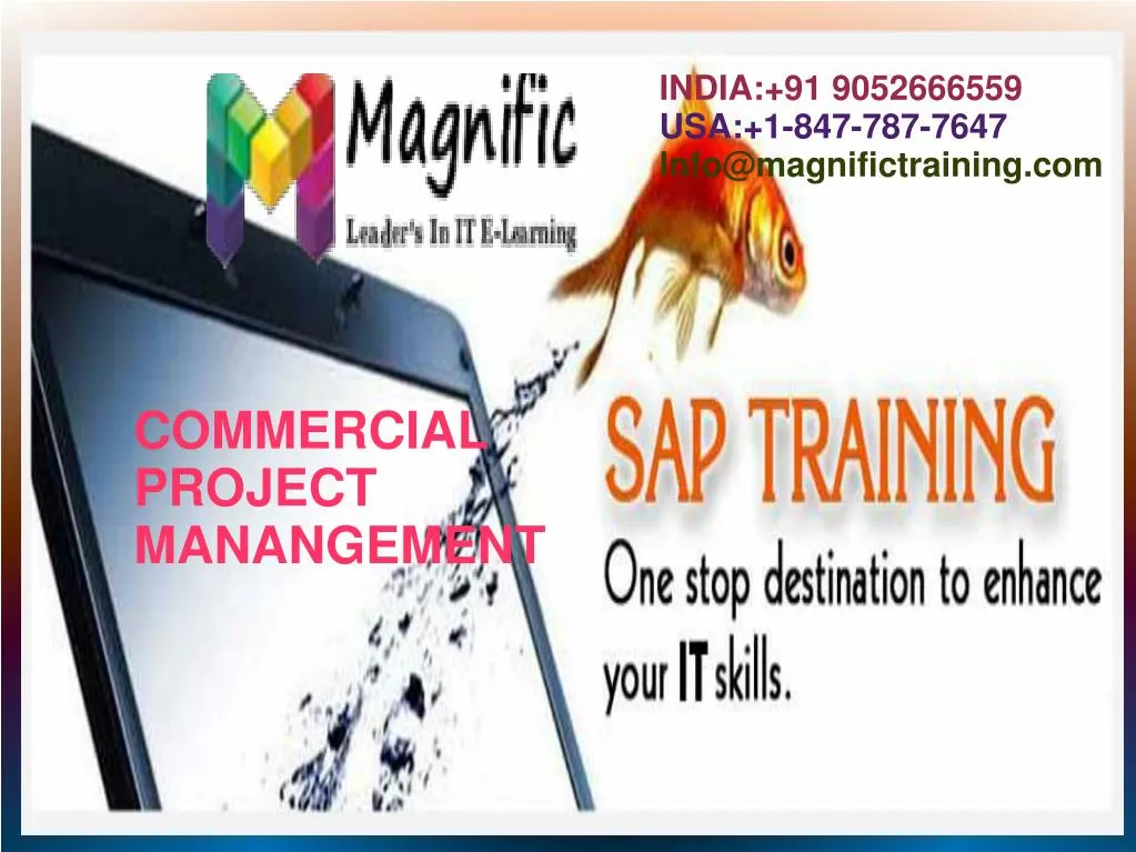 online sap cpm training