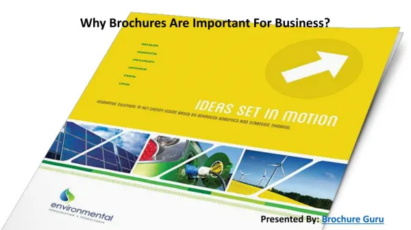 Why Brochures Are Important For Business?