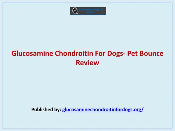 Glucosamine Chondroitin For Dogs- Pet Bounce Review