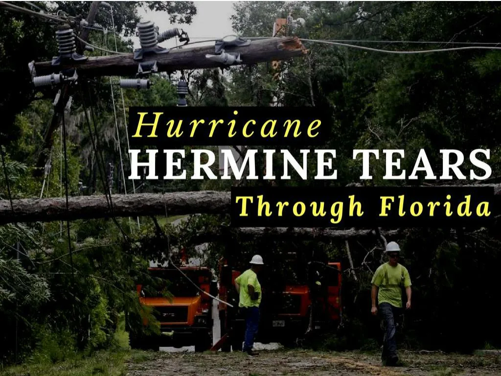 typhoon hermine tears through florida