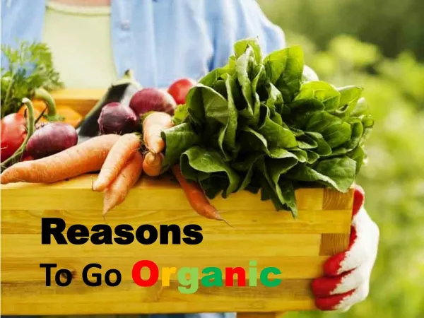 Top Reasons Why You Should Go Organic