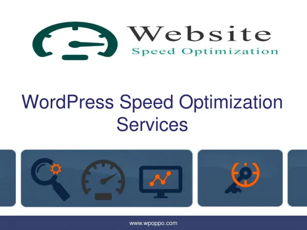 Gain the Perfect WordPress Speed Optimization Services