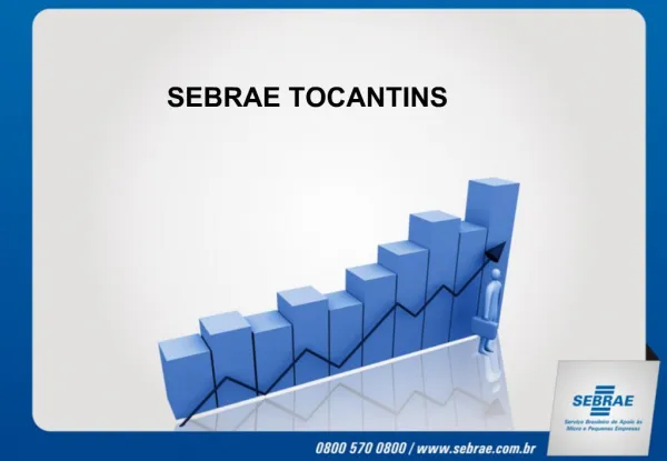 SEBRAE TOCANTINS