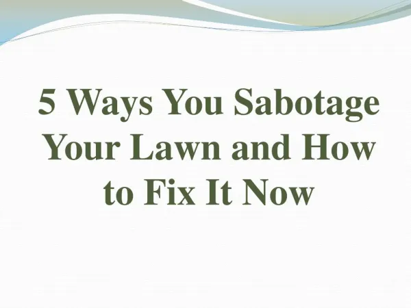 5 Ways You Sabotage Your Lawn and How to Fix It Now