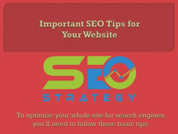 Important SEO Tips for Your Website