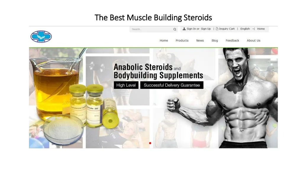 the best muscle building steroids