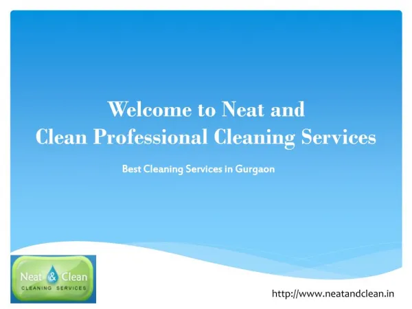Professional Cleaning Services in Gurgaon