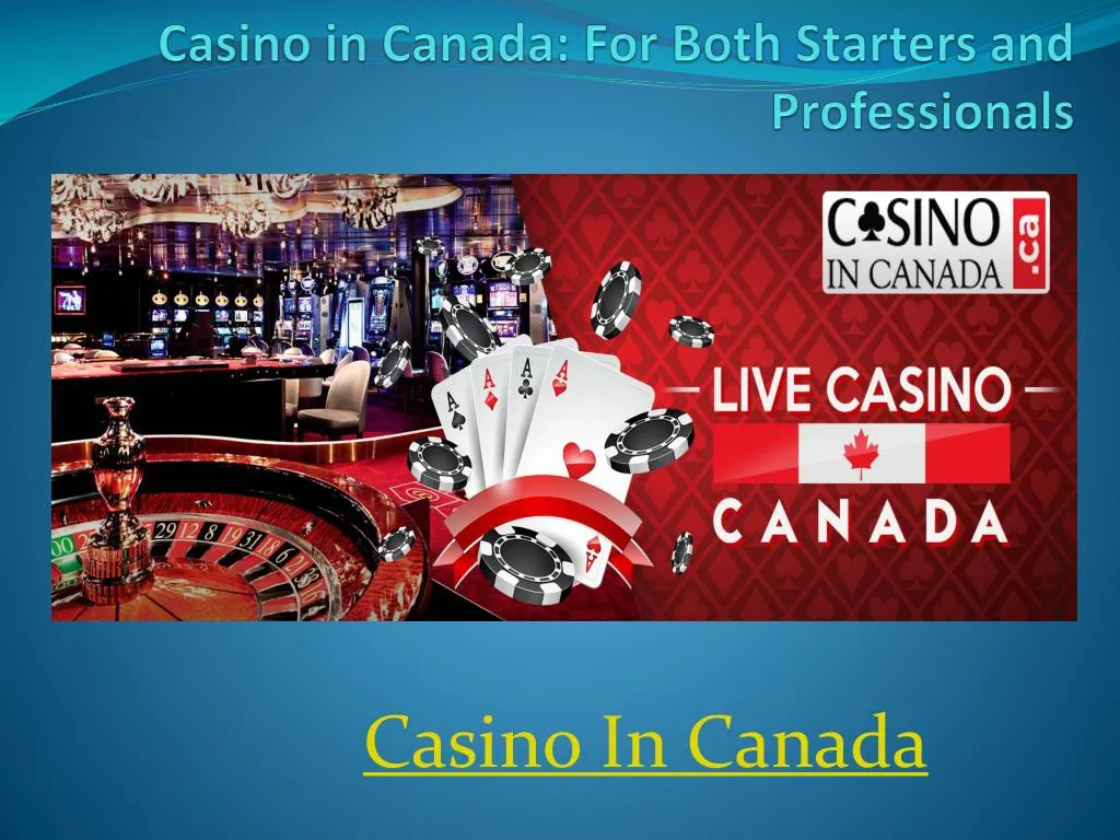 casino in canada for both starters and professionals