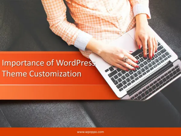 Explore the Importance of WordPress Theme Customization