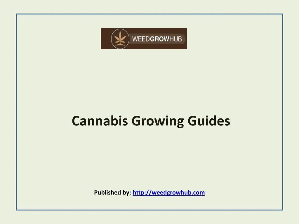 cannabis growing guides published by http weedgrowhub com