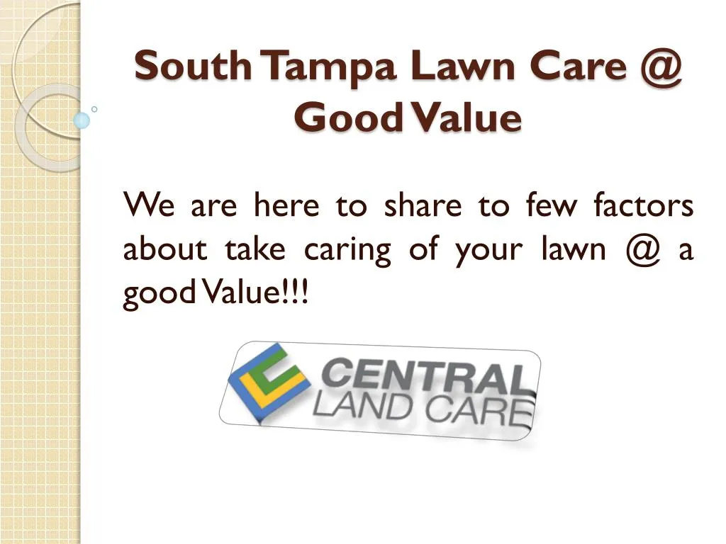 south tampa lawn care @ good value