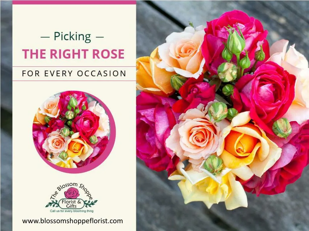 picking the right rose for every occasion