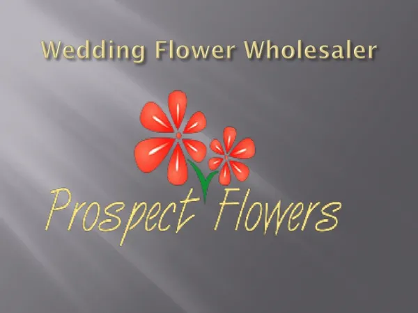 Top 5 things to look for in wedding flower wholesaler