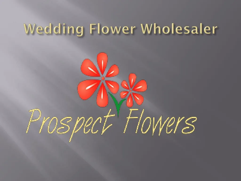 wedding flower wholesaler
