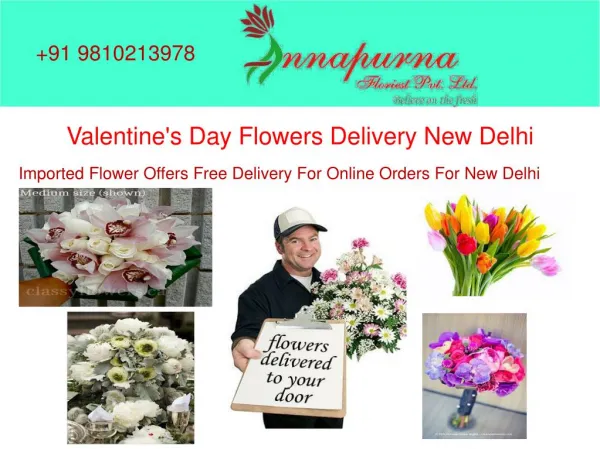 Amaryllis wholesale flowers in east delhi