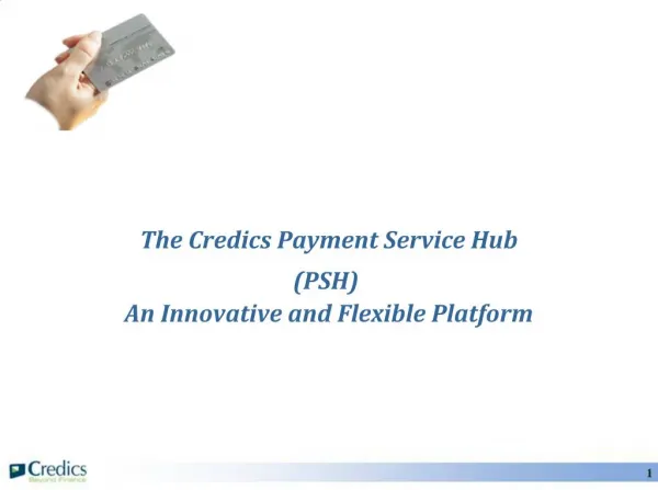 The Credics Payment Service Hub PSH An Innovative and Flexible Platform