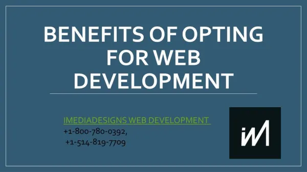 Benefits opting for Web Development