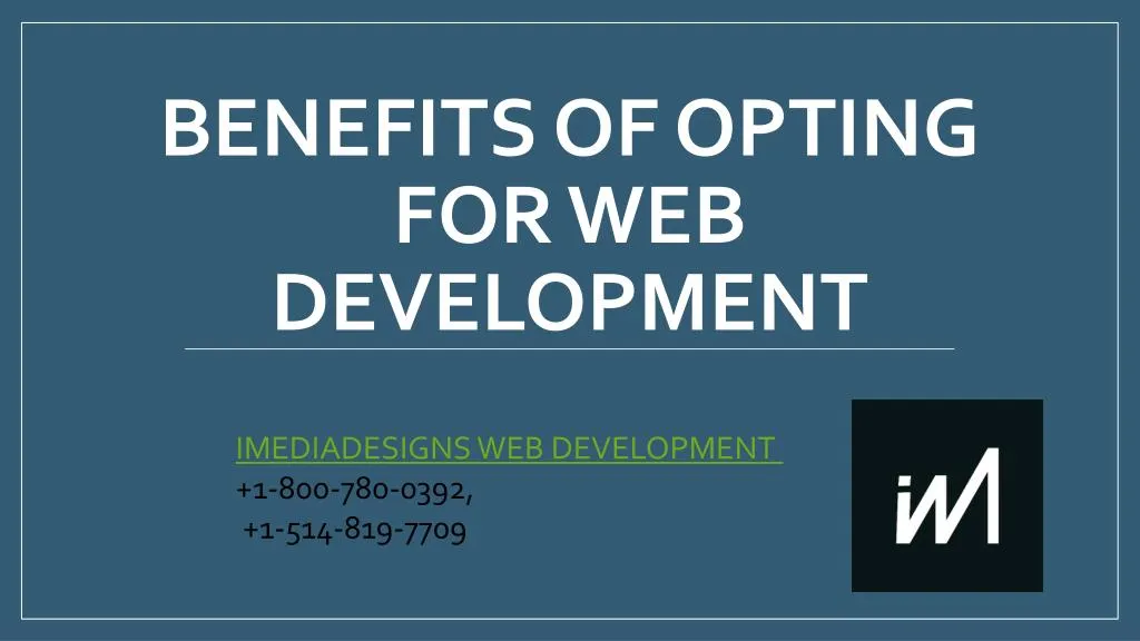 benefits of opting for web development